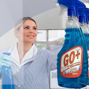 Purgo Plus Glass Cleaner (ALL)