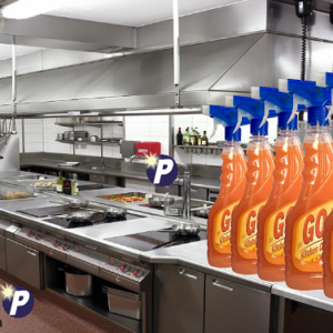 Purgo Plus Kitchen Cleaner (ALL)